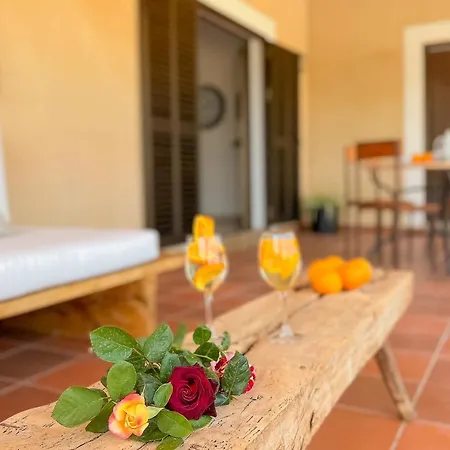 Villa Sa Tanca